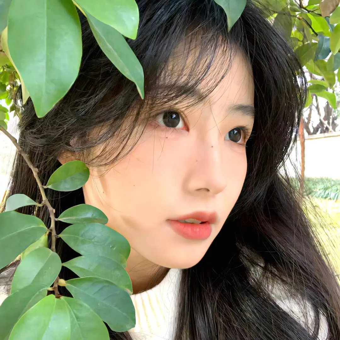 重生宠妾进阶录